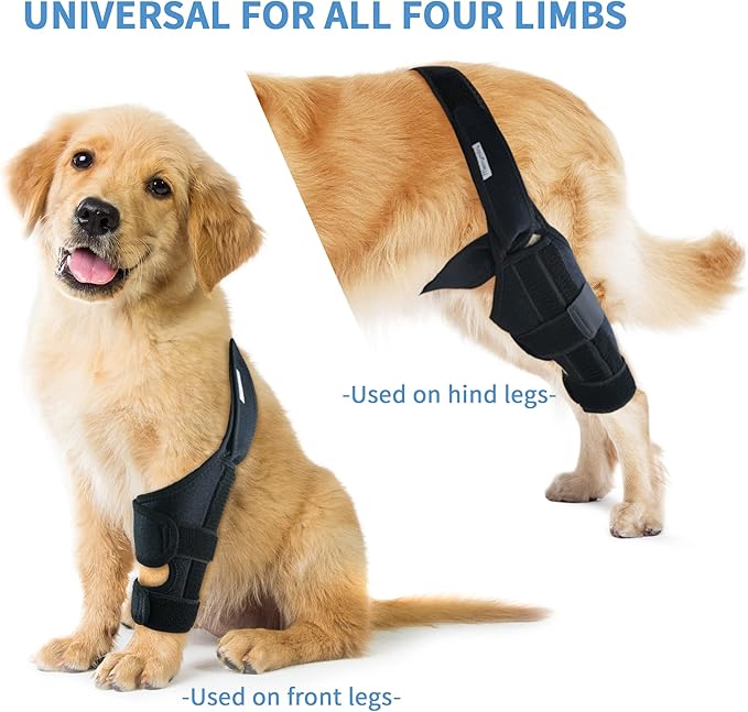 Dog Knee Brace for Hind & Rear Legs – Canine Leg Support for ACL, CCL, and Cruciate Ligament Injuries, Arthritis, and Post-Surgery Recovery – Adjustable, Durable, Black, Size M(7.2'-10.2')