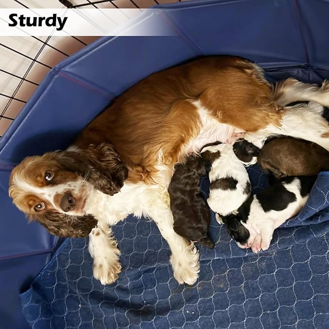 Artilife Dog Whelping Box Pool,Whelping Box for Dogs Birthing,Welping Box Whelping Pen for Puppies Whelping Supplies