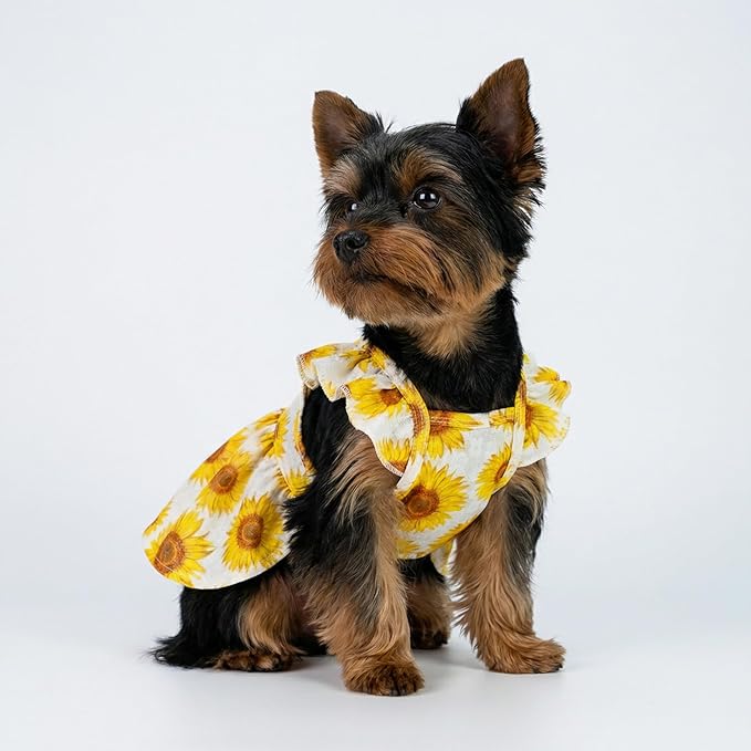 Fitwarm Dog Sunflower Dress, Dog Clothes for Small Dogs Girl, Pet Cat Apparel, White, Yellow, Red, Small