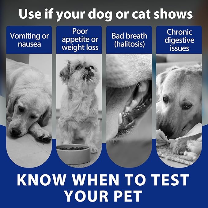 Pet H. Pylori Health Check Kit (2-Pack) – at-Home Testing for Dogs & Cats, Quick Results & Stress-Free Care