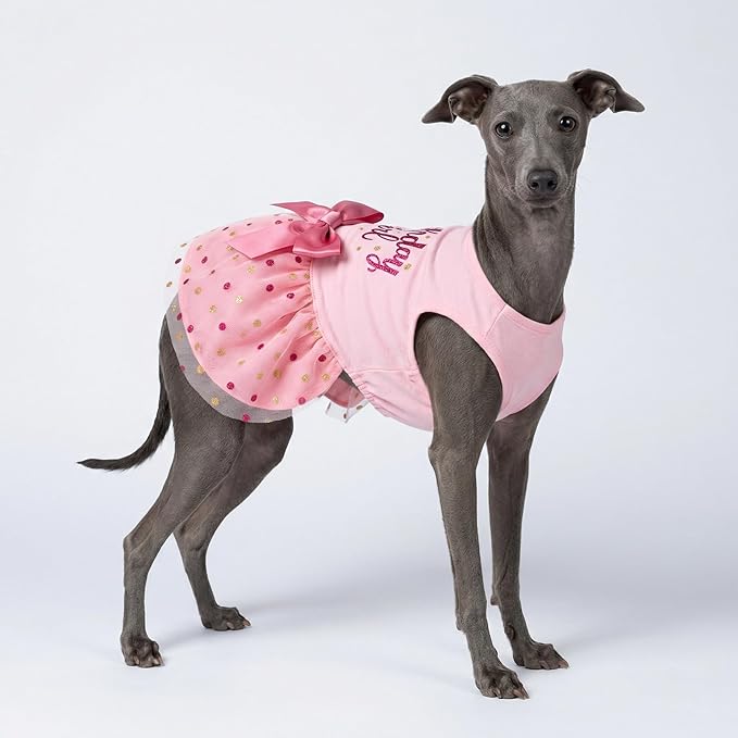 Fitwarm Birthday Girl Dog Tulle Dress, Dog Clothes for Small Dogs Girl, Cat Apparel, Pink, Medium