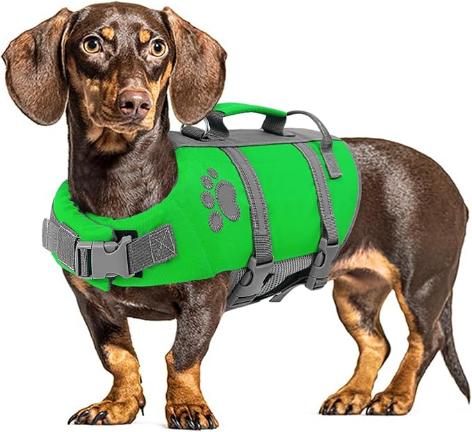 Queenmore Dog Life Jacket Medium, Dog Life Vest for Swimming, Dog Life Vest for Medium Dogs, Floating Dog Vests for Boating Kayaking, Pet Life Jackets for Dogs with Safety Handle Hook, Puppy Swim Vest