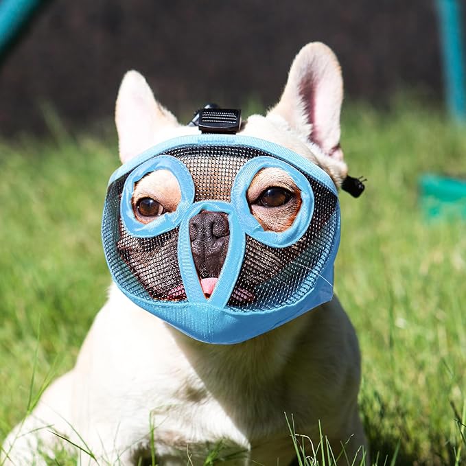 Short Snout Dog Muzzles- Adjustable Breathable Mesh Bulldog Muzzle for Biting Chewing Training Grooming Dog Mask,Blue L