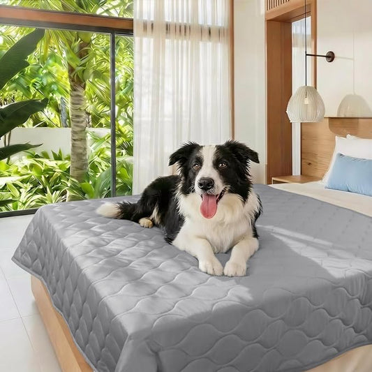 Luciphia Waterproof Cooling Mat for Dogs Couch Cover Q-MAX>0.5, Leakproof Pet Pad Non-Slip Throw Blanket for Cat Puppy Crate Bed Protector Outdoor (Cloud Grey, 60x80 inches)