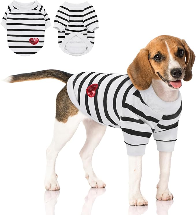 Queenmore Large Dog Shirt,Soft Breathable Dog Shirt for Dogs Cats Boy Girl,Pet Clothes for All Season,Breathable Lightweight Pet Tshirt for Frenchie, Dachshund, Yorkie
