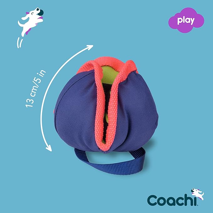 Coachi Chase & Treat - A Fun Enrichment Dog Toy, Fill with Treats for Interactive Play. Good for Motivating, Distance Reward Training & Encouraging Retrieval. Ideal for Agility & Suitable for Puppies