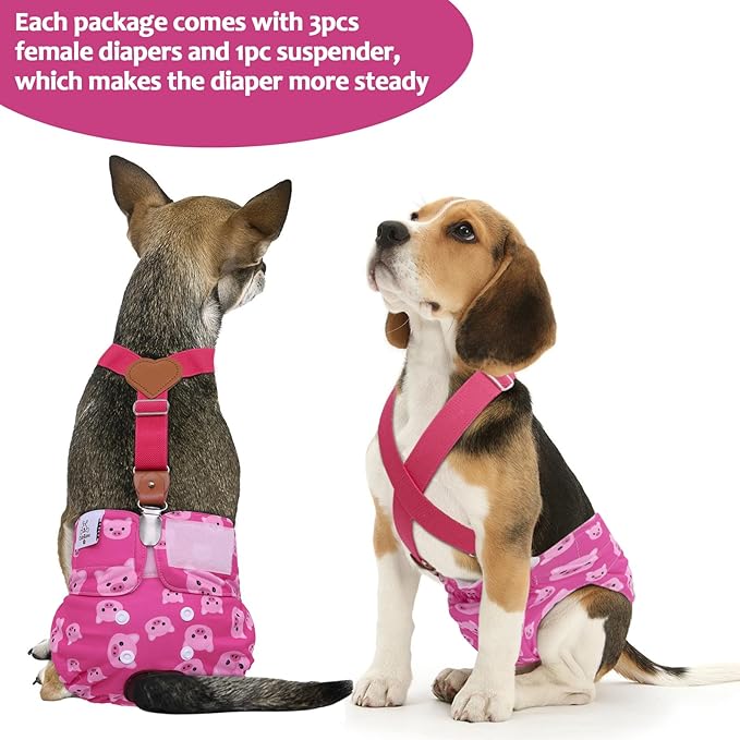 CuteBone Dog Diapers Female 3 Pack Reusable Doggy Diapers with One Suspender for Small Medium Large Dog Period BDD05S