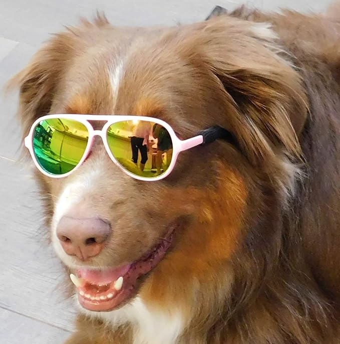 G010 Dog Pet Costume Prop Aviator Sunglasses Medium Breeds 20-40 lbs (2-Pack White-Pink Mirror + Pink-Pink Mirror)