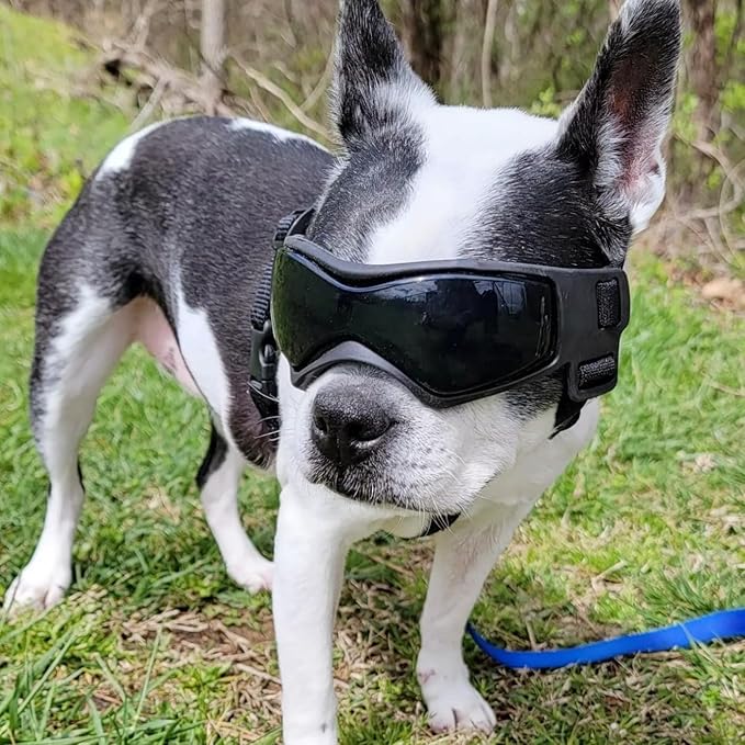 NAMSAN Dog Goggles for Small to Medium Dogs, Dog Sunglasses UV Protection for Medium Dogs Outdoor Cycling Driving, Small Doggy Glasses Dog Eye Protection, Anti-Fog Windproof, Adjustable, Cool Black