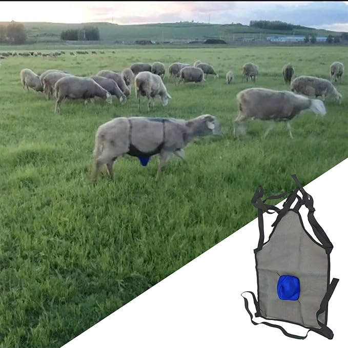 Breeding Control Goat Skirt - Anti Mating Animal Protective Apron, Anti Breeding Sheep Supplies Harness | Livestock Clothing with Adjustable Strap, Sheep Skirt for Animal Health.