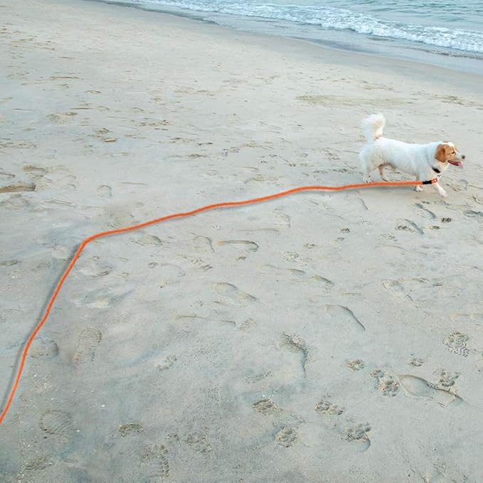 Vivifying Floating Long Dog Leash, 20ft Dog Training Leash for Outside and Yard, Reflective Long Line Lead with Soft Handle for Beach and Swimming (Orange)