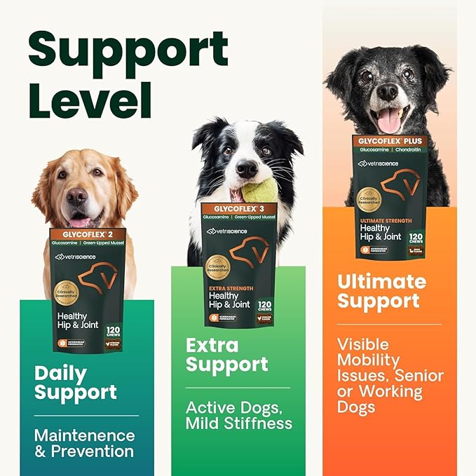 VetriScience Extra Strength Hip & Joint Supplement for Dogs, GlycoFlex 3 – Vet Formulated Glucosamine, MSM & Green-Lipped Mussel Chews for Mobility, Flexibility & Joint Support, Chicken Flavor, 120ct