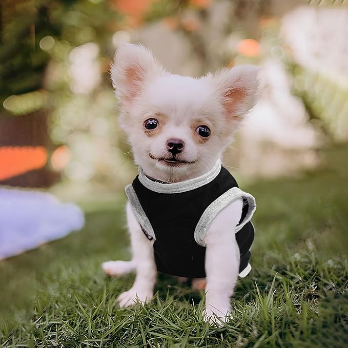 4 Pieces Dog Clothes for Small Dogs Boy Summer Puppy Clothes for Chihuahua Yorkie Soft Cute Pattern Dog Shirt Pet Cat Clothing Pink Rose Red Green XXS~M (Small)
