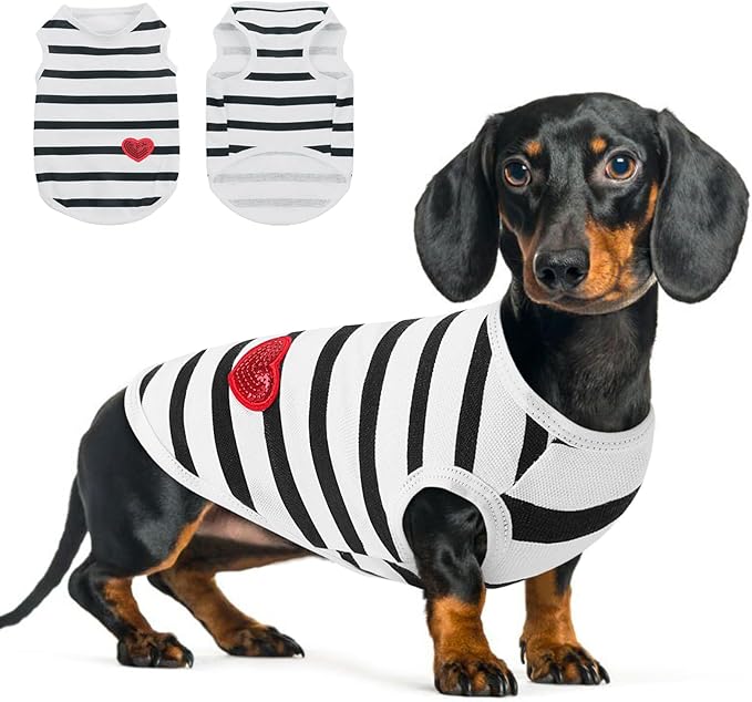 Queenmore Small Dog Shirt,Soft Breathable Dog Shirt for Dogs Cats Boy Girl,Pet Clothes for All Season,Breathable Lightweight Pet Tshirt for Frenchie, Dachshund, Yorkie