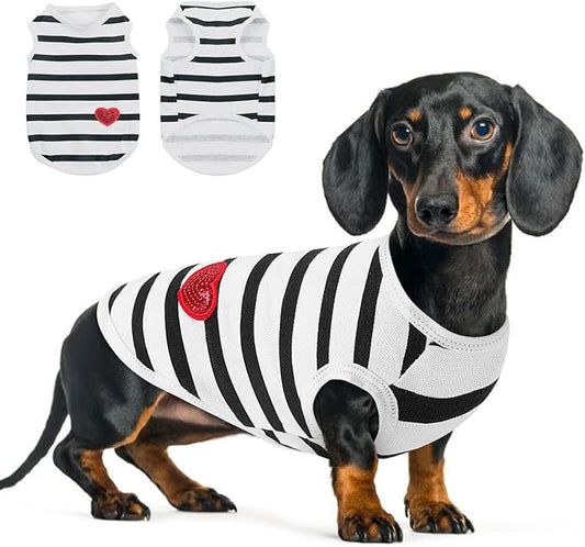 Queenmore Small Dog Shirt,Soft Breathable Dog Shirt for Dogs Cats Boy Girl,Pet Clothes for All Season,Breathable Lightweight Pet Tshirt for Frenchie, Dachshund, Yorkie