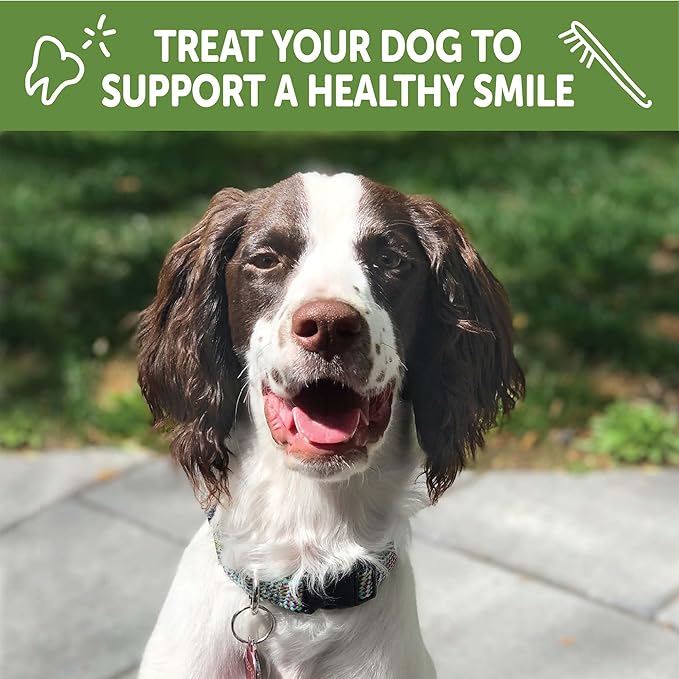 WHIMZEES Wellness Puppy Dog Dental Treats, Medium & Large Size Stick, (14 Count)