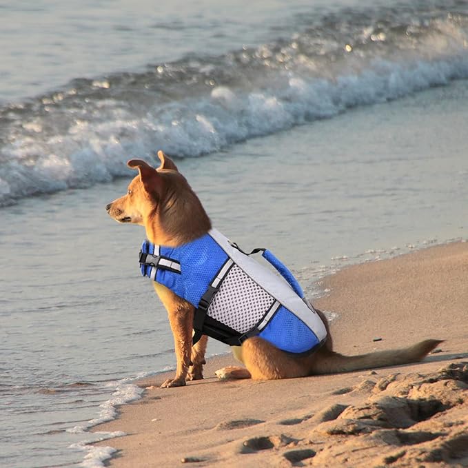 Dog Life Jacket Swimming Vest Lightweight High Reflective Pet Lifesaver with Lift Handle, Leash Ring Blue,S