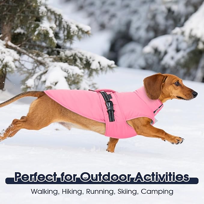 IECOii Waterproof Dog Jacket - Reflective Winter Coats Adjustable & Windproof Cold Weather Vest with Fleece Lined, Buckles, Waterproof Snow Coat for Bulldog, Pitbull Running, Orange, Size XL