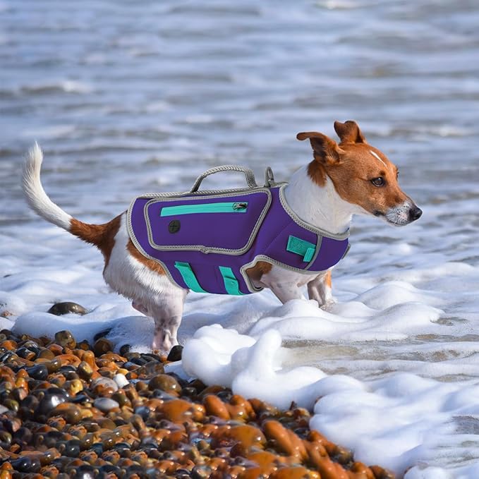 High Buoyancy Life Jacket for Dogs, Dog Life Vest for Swimming Adjustable Reflective Dog Floating Vest, Good Visibility Pet Life Preserver with Rescue Handle for Medium Dogs (Purple, M)