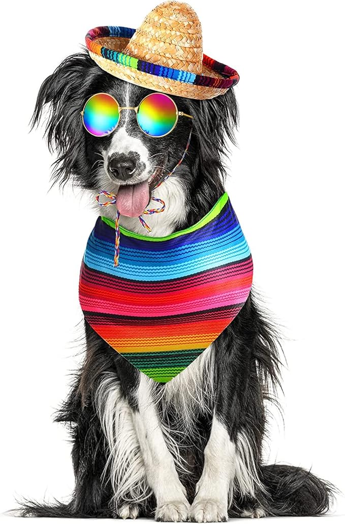 Ramede 3 Pcs Sombrero Hat Pet Mexican Serape Poncho Halloween Costume Include Cinco De Mayo Mexican Dog Bandana Fiesta Triangle Bib Round Sunglasses for Dog Birthday Gift Party Decor Small Puppy