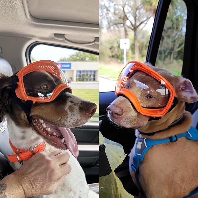 NAMSAN Clear Dog Goggles for Large Dogs, Wide Eyecup & Soft Frame, Anti-UV Sunglasses for Dogs Medium to Large Breed, Driving Dog Eye Protection, Windproof Dustproof, Adjustable, Orange