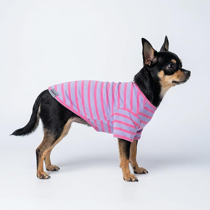 Fitwarm 3 Pack Color Block Striped Dog Shirt, Summer Dog Clothes for Small Dogs, Breathable Lightweight Dog Tshirt, Pet Outfit, Pink, Orange, Purple, Small