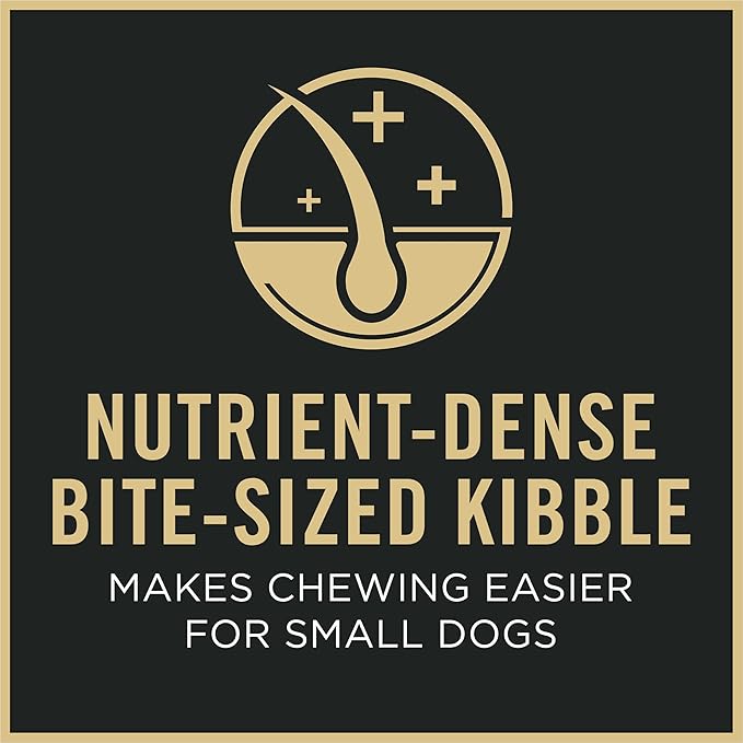 Purina Pro Plan Small Breed 7 Plus Shredded Blend Chicken and Rice Formula Senior Dog Food - 6 lb. Bag