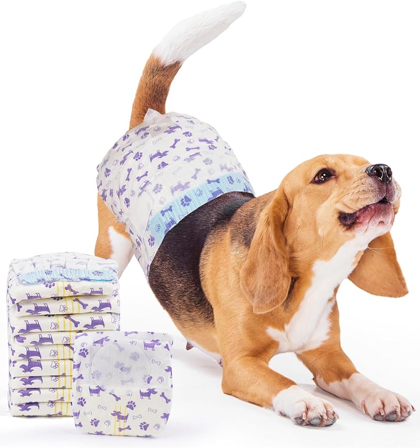 MICOOYO Disposable Dog Diapers Female, Doggie Diapers for Dogs Female, Super Absorbent Pet Diaper with Foam Tail Hole for Heat, Comfortable Puppy Diaper (Medium, 40Count)