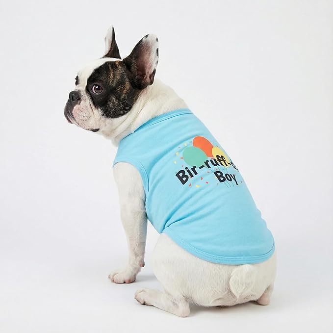 Fitwarm Birthday Boy Dog Shirt, Bir-Ruff-Day Boy Funny Dog Clothes for Small Dogs Boy, Pet Birthday Outfit, Cat Tshirt, 100% Breathable Cotton, Aqua Blue, Small