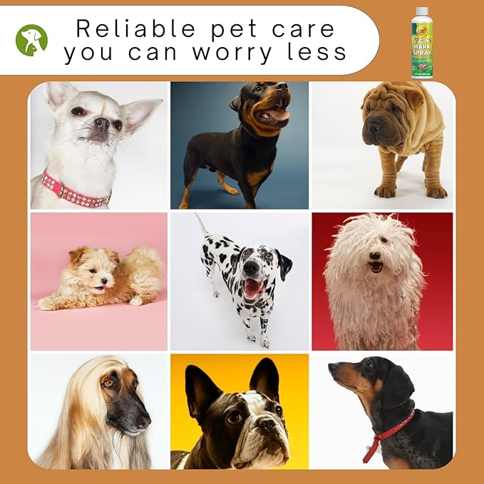 8oz Keep Your Home Clean with Pet-Safe Spray - Non-Disruptive Formula to Help Manage Dog’s Marking and Urination Habits