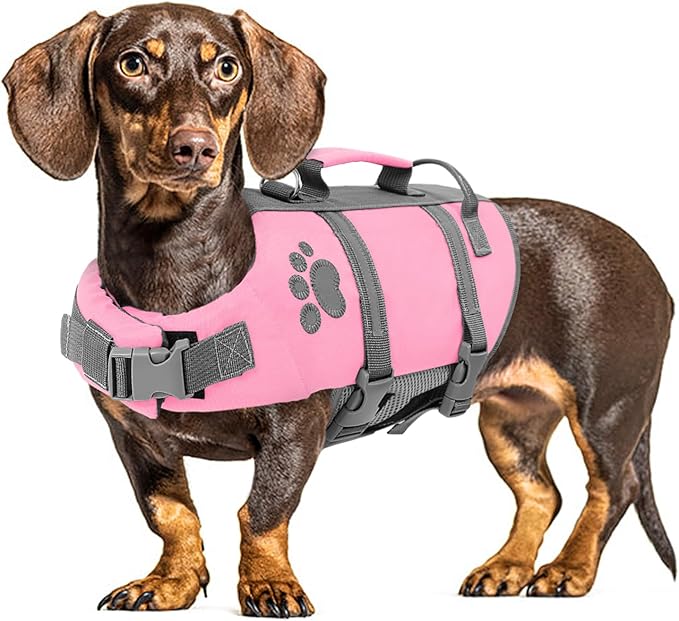Queenmore Dog Life Jacket Medium, Dog Life Vest for Swimming, Dog Life Vest for Medium Dogs, Floating Dog Vests for Boating Kayaking, Pet Life Jackets for Dogs with Safety Handle Hook, Puppy Swim Vest