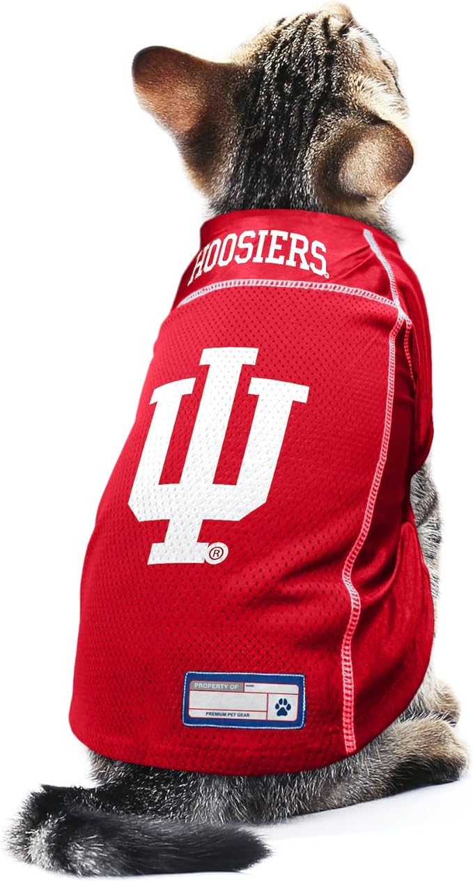 Littlearth NCAA Arizona Wildcats Basic Pet Jersey, Team Color, X-Large
