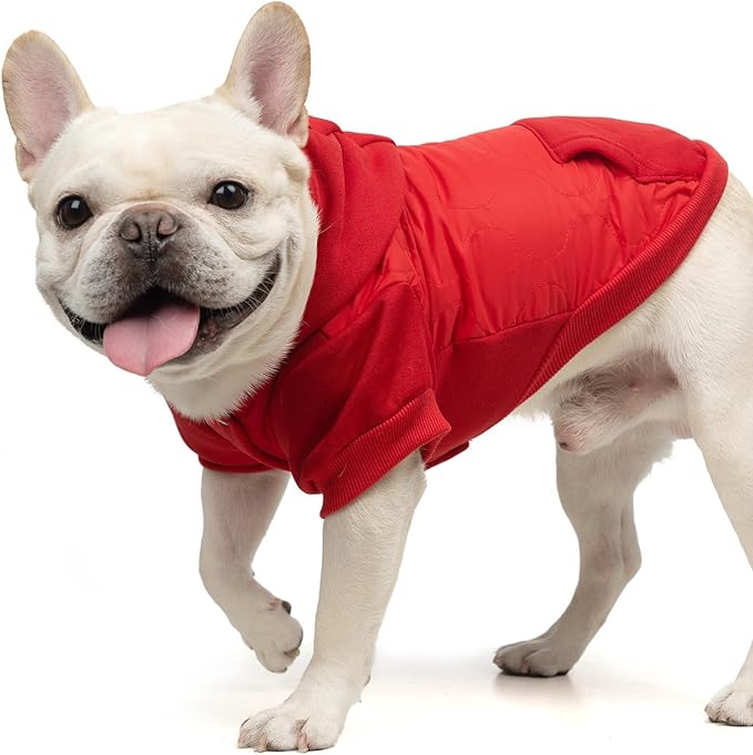 KOOLTAIL Warm Winter Coat for Small Dogs, Waterproof Jacket with Leash Hole, Soft Pet Hoodie Sweater for Puppy, Cats, Girls, Boys Red SM