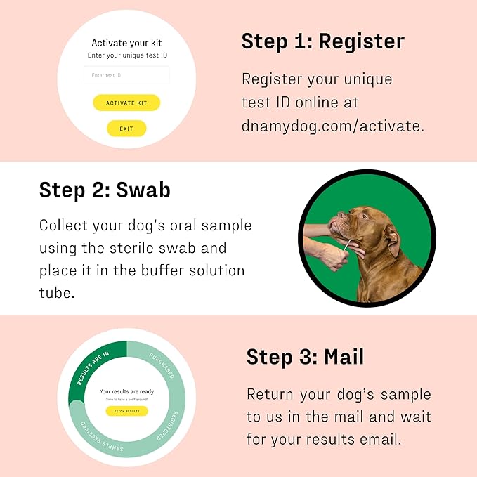 DNA MY DOG Vet-Recommended and Most Accurate Allergy Test for Itchy, Sensitive Dogs | Cheek Swab – The Gold Standard of Testing | Tests for All Common Food & Environmental Allergens | Custom Report