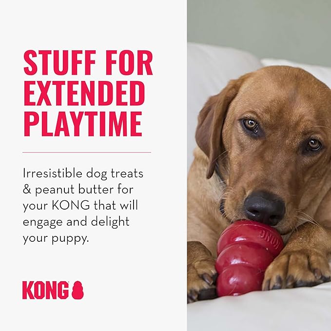 Kong Peanut Butter Treats Combo - Includes Kong Easy Treat Spray, Snacks & Enhanced Ziggies - Medium/Large Dogs