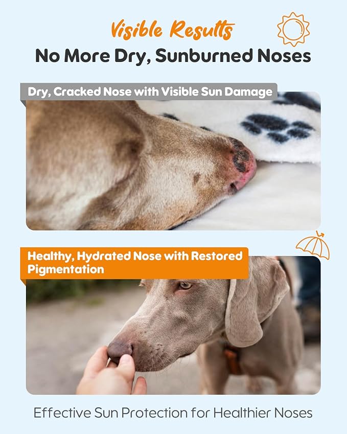 Dog Nose Sunscreen Balm SPF 25 – Natural, Lick-Safe Sun Protection with Shea Butter & Sea Buckthorn – Moisturizes & Shields Sensitive Noses – Fragrance-Free