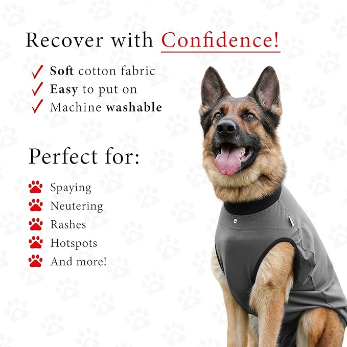 BellyGuard Dog Surgery Recovery Suit, Dog Onesie for Post-Op Care, Recovery Apparel for Female and Male, Surgical Body Cover for Canine Healing Support