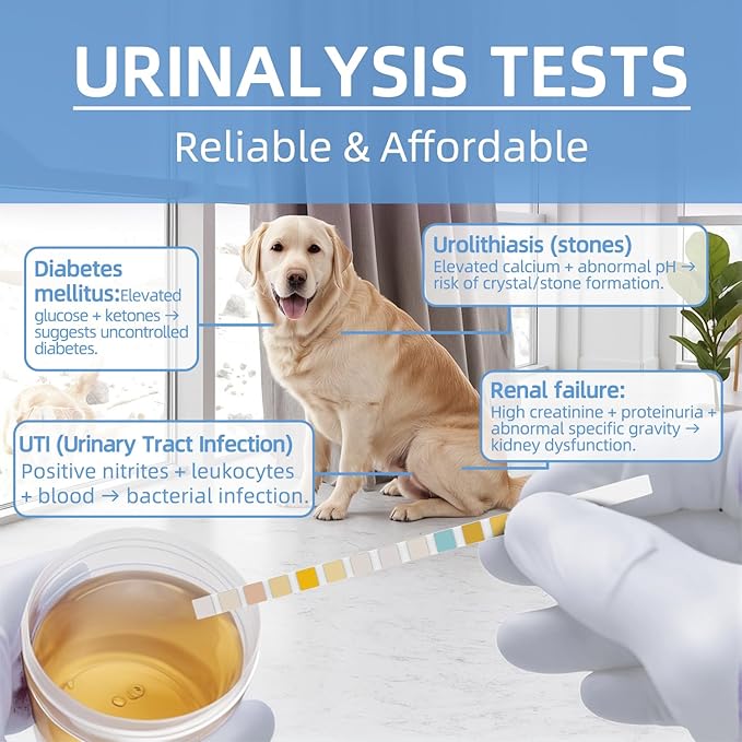 14-Parameter Dog&Cat UTI & Blood Test Strips, 100ct Detect Ketone Urine Protein Glucose Bladder Full Panel Urinalysis Urinary Tract Infection Test Kits Prime Home Testing Supplies for Vet