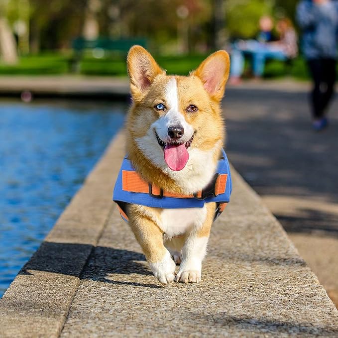 Queenmore Dog Life Jacket, Adjustable Dog Life Vest, Pet Lifesaver for Swimming, Shark Life Jacket with Rescue Handle, Rip-Stop Safety Vest for Small Medium Large Dogs