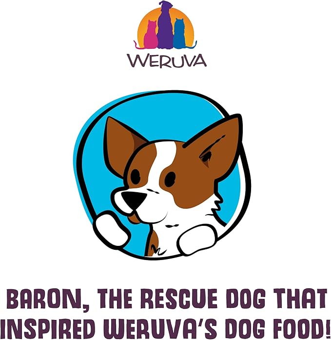 Weruva Awesome Shiny Wet Dog Food, Beef & Brown Rice, 6oz Can (Pack of 8)