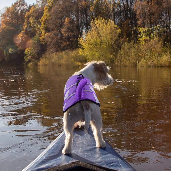 Queenmore Dog Shark Life Jacket with Rescue Handle - Adjustable Reflective Dog Life Preserver for Small Dogs, Purple