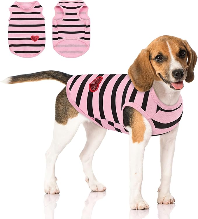 Queenmore Large Dog Shirt,Soft Breathable Dog Shirt for Dogs Cats Boy Girl,Pet Clothes for All Season,Breathable Lightweight Pet Tshirt for Frenchie, Dachshund, Yorkie