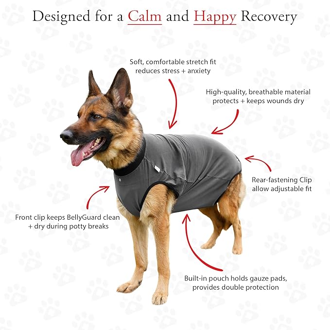 BellyGuard Dog Surgery Recovery Suit, Dog Onesie for Post-Op Care, Recovery Apparel for Female and Male, Surgical Body Cover for Canine Healing Support