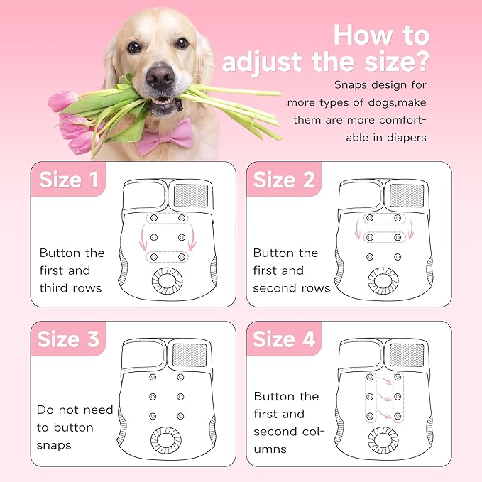 Paw Legend Washable Reusable Female Dog Period Diapers for Heat Doggie Puppy Diapers for Female Dogs (3 Pack, Leopard, Medium)