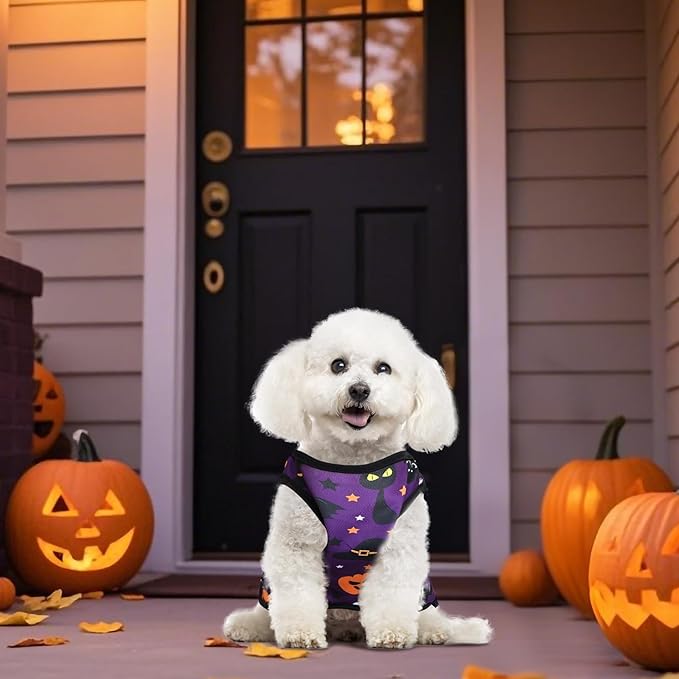 6 Pack Halloween Dog Clothes for Small Dogs, Soft and Breathable Puppy Kitten Dog Shirts for Pet Cats, Summer Dogs' T-Shirts Apparel Sleeveless Vests for Yorkies (Happy Halloween, X-Large)