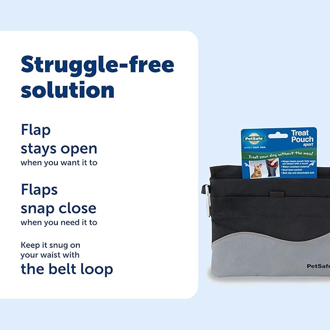 PetSafe Mini Treat Pouch - Easy Access Waterproof Treat Pouch for Daily Use - Convenient Phone & Keys Carry with Dual Inner Pocket & Front Storage Pocket - Adjustable Fit - Mini - Black