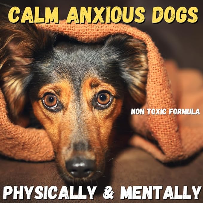 KELEBS Dog Arnica Massage Oil | Pain Relief for Muscles, Arthritis, HIPS, and Joints | for Active & Senior Dogs | Organic Arnica-Infused Oil Blend – Only 5 Ingredients | Glass Bottle (2 Pack)