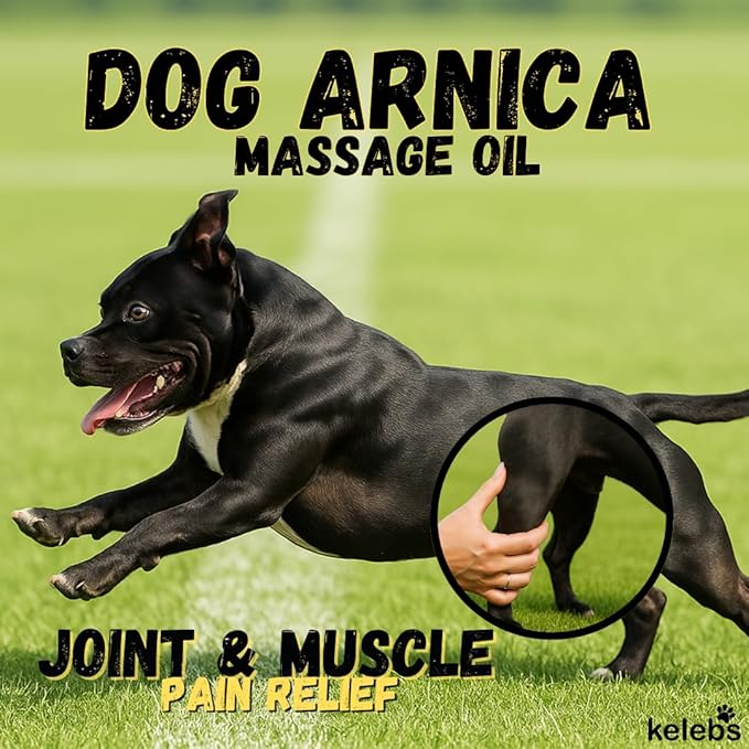 KELEBS Dog Arnica Massage Oil | Pain Relief for Muscles, Arthritis, HIPS, and Joints | for Active & Senior Dogs | Organic Arnica-Infused Oil Blend – Only 5 Ingredients | Glass Bottle