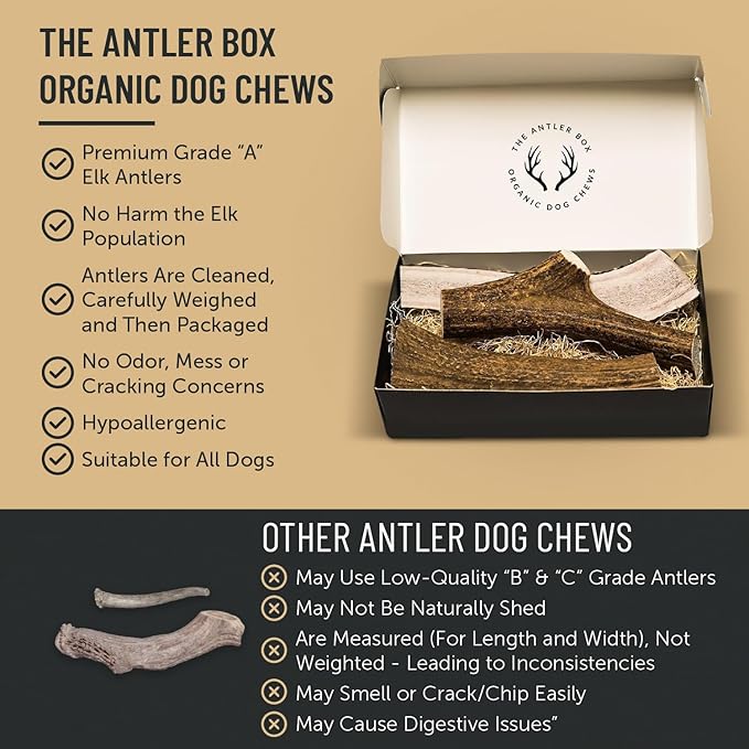 The Antler Box Premium Elk Antler Dog Chews (1 Pound Box) (Large (3 Pieces) Whole/Split Mixed)