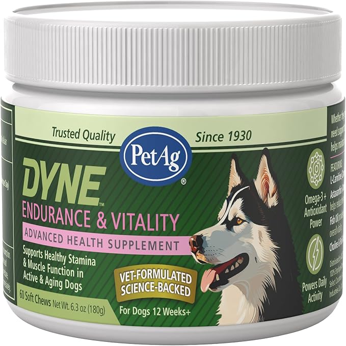 PetAg Dyne Soft Chews, Endurance & Vitality Supplement - Vet-Formulated for Aging & Active Dogs - Fuels Performance, Stamina & Recovery - 60 Chicken Liver Flavor Chews